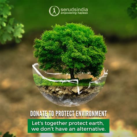 What Are the Best Environmental Charities to Donate .